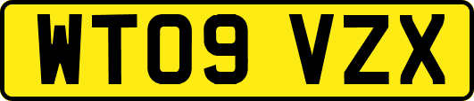 WT09VZX
