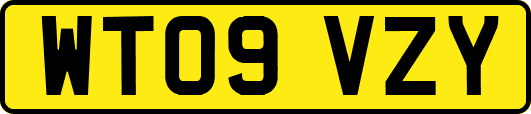 WT09VZY
