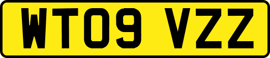 WT09VZZ