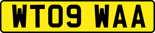 WT09WAA
