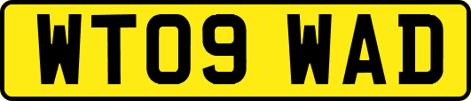 WT09WAD