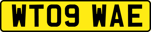 WT09WAE