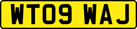 WT09WAJ