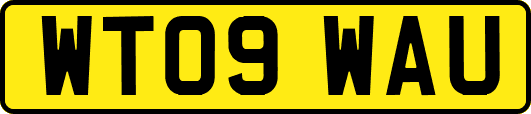 WT09WAU