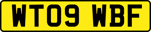 WT09WBF