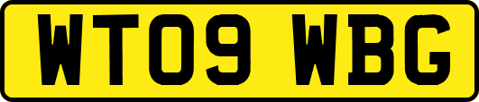 WT09WBG