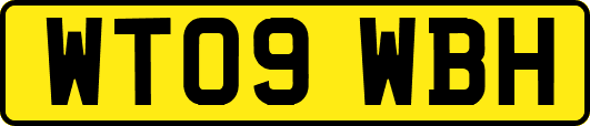 WT09WBH