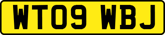 WT09WBJ
