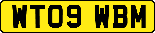 WT09WBM