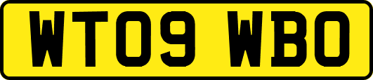 WT09WBO