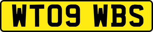 WT09WBS