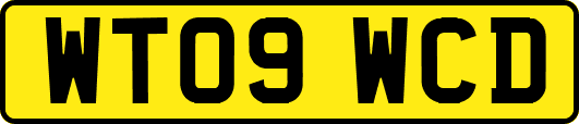 WT09WCD