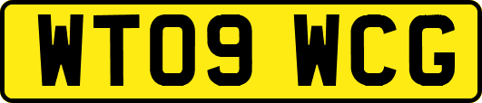 WT09WCG