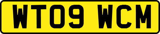 WT09WCM