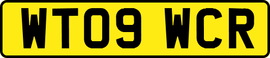 WT09WCR