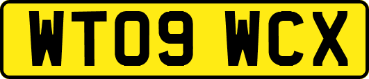 WT09WCX