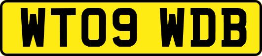 WT09WDB