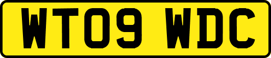 WT09WDC