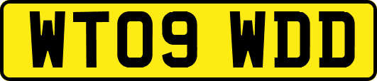 WT09WDD