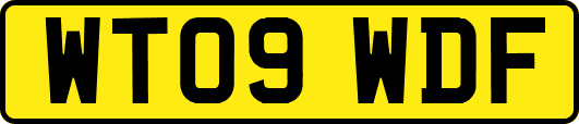 WT09WDF