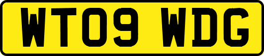 WT09WDG