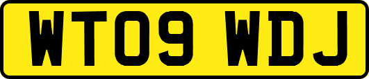 WT09WDJ