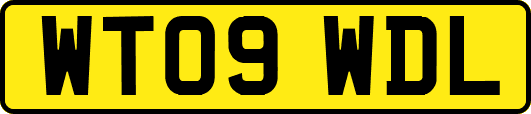 WT09WDL