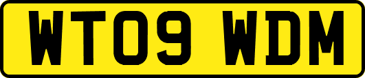 WT09WDM