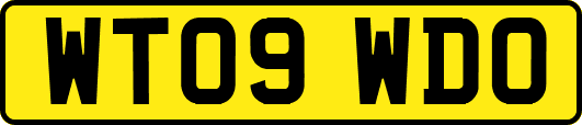 WT09WDO