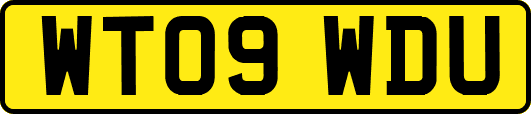 WT09WDU