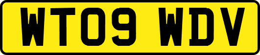 WT09WDV