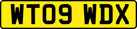 WT09WDX