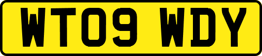 WT09WDY