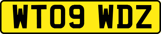 WT09WDZ