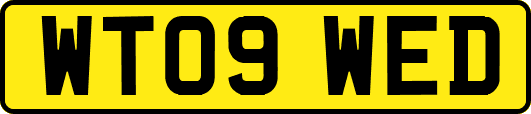 WT09WED