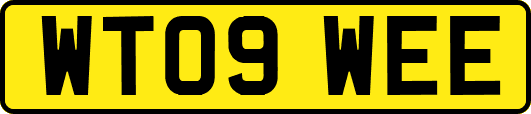 WT09WEE