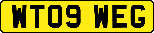 WT09WEG