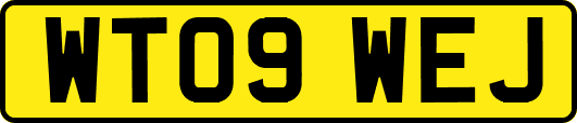 WT09WEJ