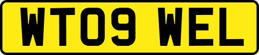WT09WEL