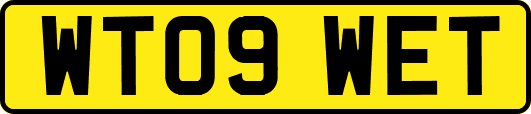 WT09WET