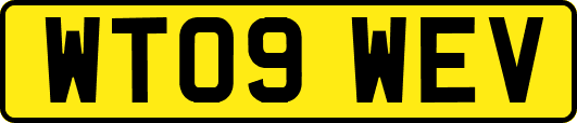 WT09WEV