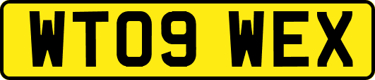 WT09WEX