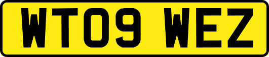 WT09WEZ