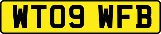WT09WFB