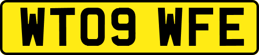 WT09WFE