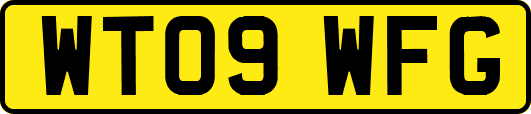 WT09WFG