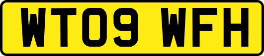 WT09WFH
