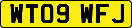 WT09WFJ