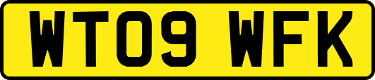 WT09WFK