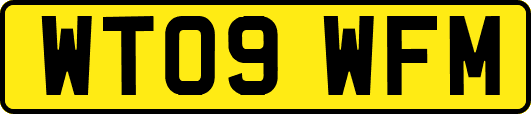 WT09WFM